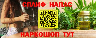 гидра Кинель