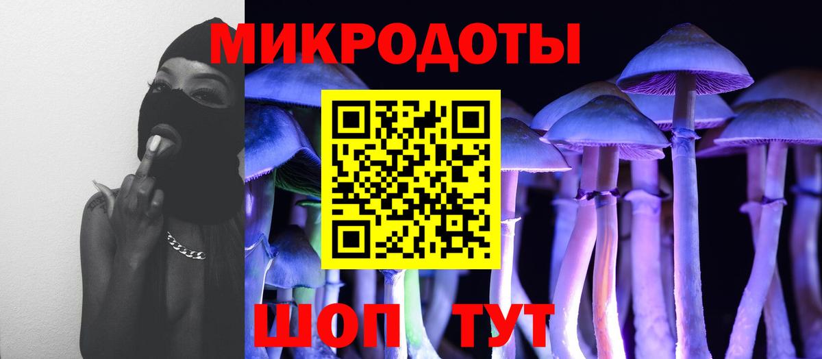 Псилоцибиновые грибы Psilocybine cubensis Красный Сулин